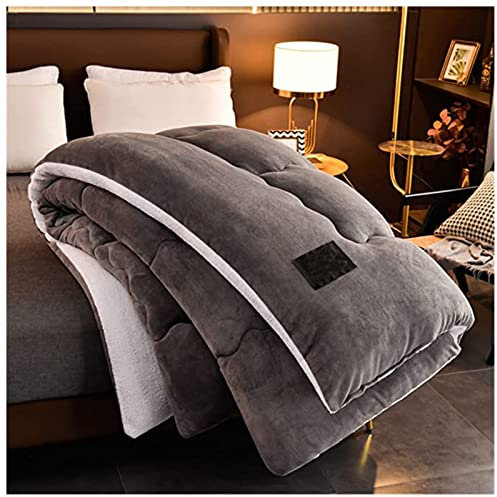 BDMFJY Bettdecke Baumwolle Winter, Winter Warmer Lamm Samtkern, Dicker Warmer Plüsch - Plus Samtkern Steppdecke Wintersteppdecke, Einfarbig,Grau,150x200cm(2.5kg)