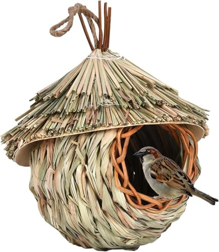 Maison de Colibri extérieure - Accrochez Les Poches de nid d'oiseau Cage de cabane à Oiseaux Naturelle extérieure, pour décor de Campagne de Jardin extérieur d'habitat d'oiseau