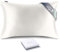 RENESSY Kissenbezug aus 100% Bio-Seide 50x75 cm - 22 Momme Maulbeerseide, Güteklasse 6A, Oeko-Tex zert. in Deutschland - Luxus für Haar und Haut, 1 Stück (Naturseide Off-White)
