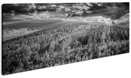 Amanecer sobre un bosque de coníferas, panorámico, 120 x 60 cm, efecto: negro/blanco como lienzo, diseño listo enmarcado en marco de madera auténtica, impresión digital de alta calidad con marco