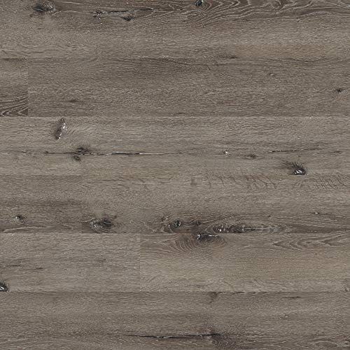 MSI Katalina 6 inch x 48 inch Glue Down Luxury Vinyl Plank Flooring for Pro and DIY Installation 2MM Thick and 6MIL Wear Layer