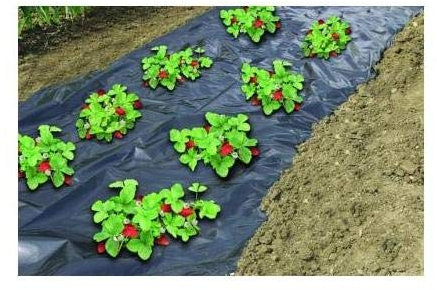 Plastico para huerto negro invernadero antimaleza, tela plantar hortalizas sin hierbas. 1.5x10 metros.Film de PE de acolchamiento para plantación de hortaliza