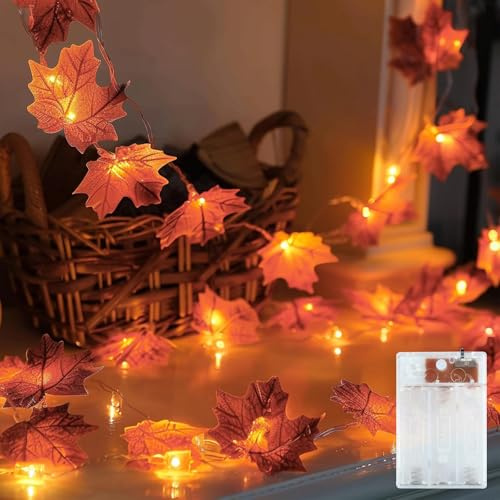 EKKONG Luces de Decoración de Otoño Cadena de Luces Otoñales luz Decorativa para Acción de Gracias, Navidad, Fiesta de