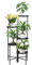 QWORK® 5 Tier Metal Plant Stand , Indoor Outdoor Plant Shelf , Tiered Flower Stand , Black