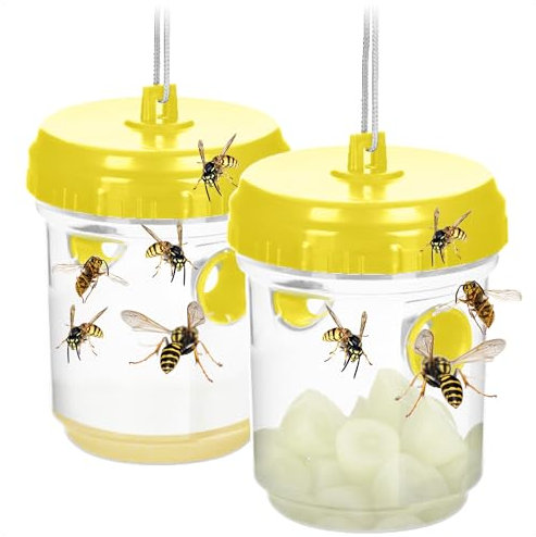COM-FOUR® 2X Piège à guêpes Vivant – Piège à Insectes Naturel à Suspendre et Poser – Anti-Insectes respectueuse des Animaux pour l'extérieur – Insectes Anti-guêpes (02 pièces - Jaune 13cm)