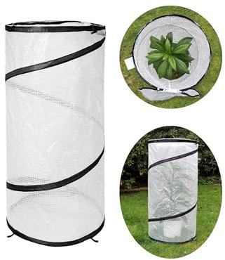 CINNEA Pop-Up Mini-Gewächshaus, Mini Gartengewächshaus, 96x50 cm, Pflanzenzelt, Gemüse-Folie, Pflanzenschutz Tomatenhaube, Pflanzenhaube, Regenschutz, Vögelschutz