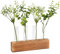 Jarrón Hidropónico, Jarrón de Tubo Vídrio para Estación Propagación, 4 Tubos de Ensayo en Soporte de Madera para Plantas Hidropónicas, Oficina Decorativo con Cepillo de Limpieza, 5 Tubos