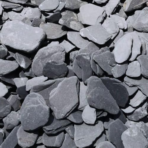 World PLANTIL Pizarra Plana Redondeada 20 kg/Piedras Planas Pizarra/Piedra Natural Decorativa/para jardín, jardín en Miniatura, maquetas, macetas, terrarios... (12/20 mm)