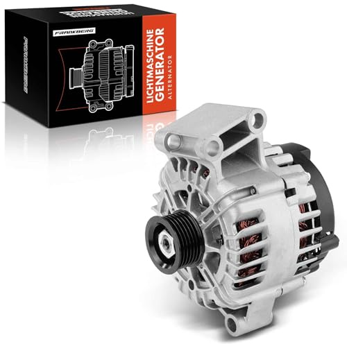 Frankberg Alternatore Generatore Benzina 24011N