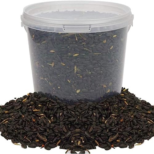 Graines de tournesol noir BusyBeaks - nourriture riche en huile pour oiseaux sauvages de jardin occupés (2.5L)
