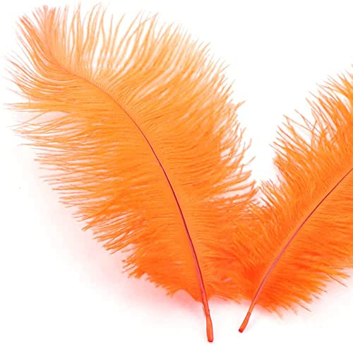 10 stycken 15–20 cm naturliga strutsfjädrar, bukettfjäder för pyssel, pysselfjädrar för gör-det-själv drömfångare tillbehör, heminredning, kostymer, bordsdekoration, bröllop, fest, hatt, kläder,