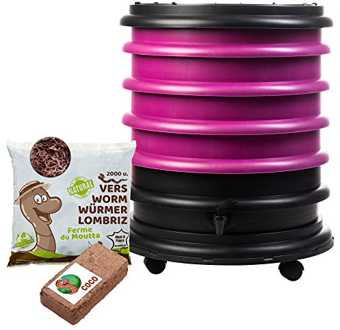 WORMbox | Wurmkomposter Wurmfarm Wurmkiste mit 4 Schalen Himbeere + 1kg Kompostwürmer / 2000 STK + 1 Coco | 64 Liter | Regenwurmkomposter, Kompostwürmer produzieren Wurmhumus