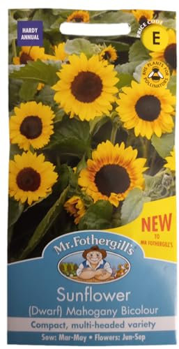 Dwarf Sunflower Seeds Mahogany Bicolour by Mr Fothergill's Free Flowering, Bushy Plants