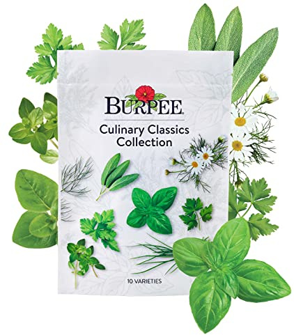 Burpee Culinary Classics Garden Collection 10 Packets of Non-GMO Chives, Cilantro, Basil, Sage, Thyme, Dill, Parsley, Chamomile, Marjoram & Oregano | Kitchen Herb Variety Pack, Seeds for Planting