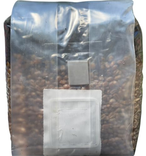 Kit de culture de champignons – Magic All in One Sac de culture de champignons (lot de 1)