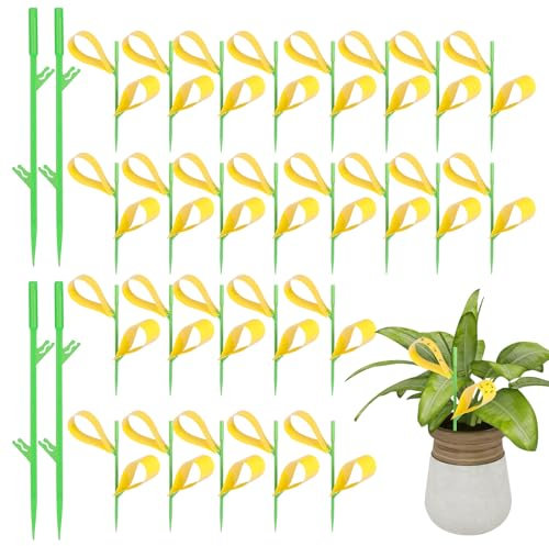 GeeRic 40 Pièges Collants à Mouches, Piège Double Face de Type Branche, Pièges à Insectes Volants Jaunes Collants, Pièges pour l'intérieur et l'extérieur, Protègent la Plante Contre