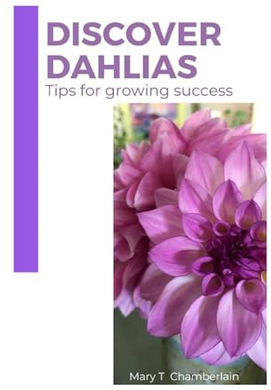Discover Dahlias: Tips for Growing Success