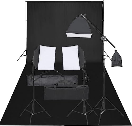 vidaXL Kit de Estudio Fotográfico con Set de Luces y Fondo Soporte Telón Pantalla Foto Video Sistema Lámparas Luz Iluminación Plegable