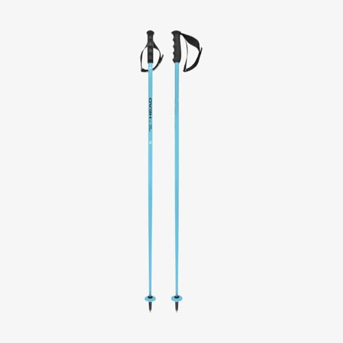 HEAD Worldcup SL, Bastoni da Sci Unisex Adulto, Speed Blue/Nero/Bianco, 125