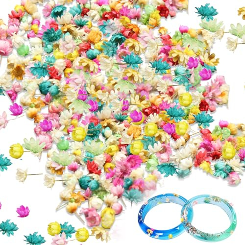 850 mini fiori secchi per resina, veri piccoli fiori secchi naturali per artigianato in resina, fiori secchi colorati per resina, piccoli fiori pressati secchi per gioielli epossidici fai da te