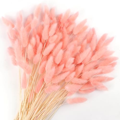 120Pezzi Bunny Tails Bouquet Coda Di Coniglio Naturale Bouquet Di Fiori Secchi Di Erba Di Pampa per Fiori Secchi Decorazione Camino Casa Cucina Chiesa Tavolo Decorazione Boho Nozze Decor（Rosa）