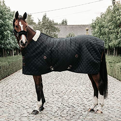 Kentucky - Stalldecke - 600D - 160 cm / 7'0 - Vegane Wolle - Schwarz