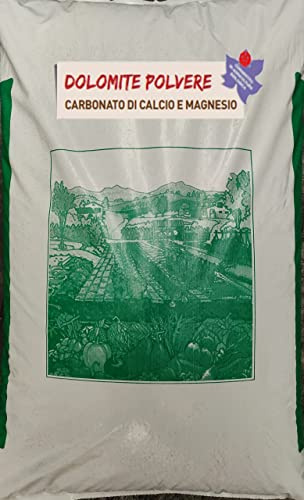 Vialca Dolomite Polvere 25KG CARBONATO di Calcio E MAGNESIO CONCIME CORRETTIVO Consentito in Agricoltura Biologica