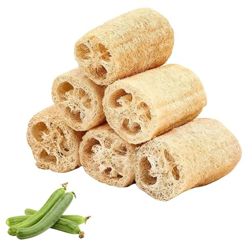 Kinesgsg 6 Pièces Loofah Naturel, 10cm 100% Eponge Exfoliante Corps Naturelle, Éponge de Luffa Biologique, Eponge Douche Corps Exfoliante, pour Bain Douche, Savons DIY et Cuisine Nettoyage