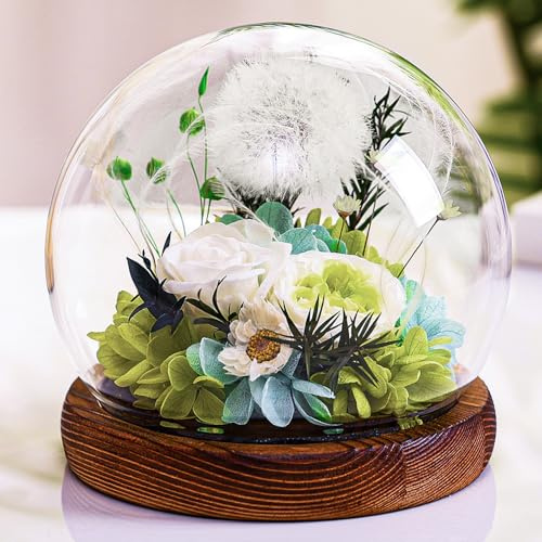 Touloube Women Gifts - Dandelion in A Glass Gift Ideas for Women, Birthday Gift for Girlfriend Sister Teacher Mom Grandma, Wish Filler Gift Encouragement for Her for Birthday, Wedding
