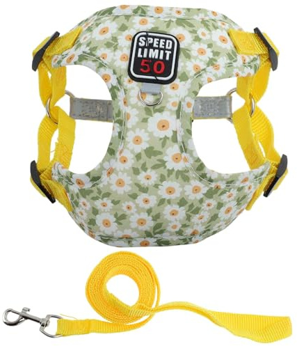 CAPASTEC Harnais Et Laisse pour Chiot avec Bande Réfléchissante, Ajustable pour Promenades, pour Chien Chat De Taille Petite Et Moyenne, S, Jaune
