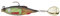 Berkley Pulse Realistic Flash Soft Bait Köder | Paddle Tail Shad für Hecht, Barsch, Zander und Bass | Ultra-reaktionsfreudiger Schwimmköder für Süßwasser-Raubfische | 9 cm, Firetiger