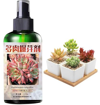 Engrais liquide pour grasses et cactus, pour d'intérieur, pour grasses, cactus et cactus, 150 ml