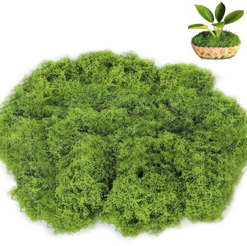 MOAZIFI Moos, 150g für Moosbilder, Kunstmoos zum Basteln, Deko, Konserviert - Künstliches Moss für Mooswand und Moosbild