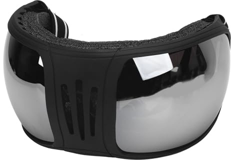 Alomejor Lunettes de Course de Chevaux, Lunettes de Soleil de Protection Coupe-vent, Anti-sable et Anti-poussière pour Fournitures de Harnais et Activités Sportives (SILVER)