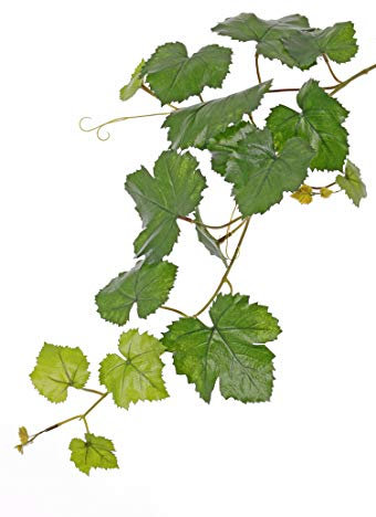 artplants.de Fake grapevine spray BJON, crossdoor, green, 24/60cm - Silk spray vine/Grapevine artificial plants