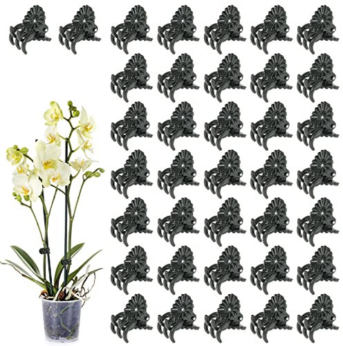 100 Stück Pflanzen Clips Orchideen Pflanzen Klammern Befestigungsclip für Orchideen Clips, Blumenklammern Garten Pflanzenclips Zum Stützen Pflanze