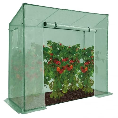 IDMarket - Serre de jardin verte toutes saisons avec fenêtre et porte zippée
