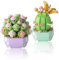 RobLuX 2 Juego de Construcción de Flores de Bonsái Suculentas y Cactus Juego de Bloques de Construcción de Mini Flores Plantas Suculentas Juego de Bloques de Construcción Niños y Adultos