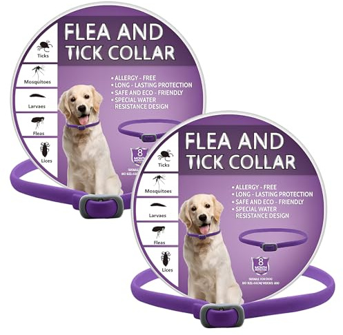 2 Pack Dog Collars, 65cm Soft Silicone Collar for Dogs, Adjustable & Waterproof Dog Collar Dog, With 8 Months of Protection, Purple