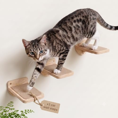 INICIO Cat Wall Steps - 3 Pack of Stairs for Cats to Climb - Natural Wood | Safe and Sturdy Cat Steps for Wall, Cat Wall Stairs for Indoor Cats up to 15lbs, Small Shelves for Climbing and Playing