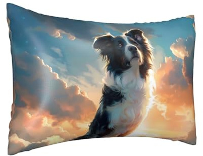 Federa per cuscino in seta per capelli e pelle Queen – Federe rinfrescanti per dormire, dimensioni standard, 50,8 x 76,2 cm, con stampa a blocchi di cloud Border Collie Block in raso con cerniera