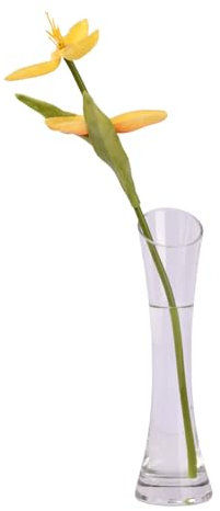 Dewocke Glass Flower Vase, 20cm Narrow Necked Vase, Tall Thin Glass Vases, Small Single Stem Vase, Decorative Bud Vase, Modern Clear Vase for Centerpieces, Living Room, Kitchen, Office, Wedding Decor