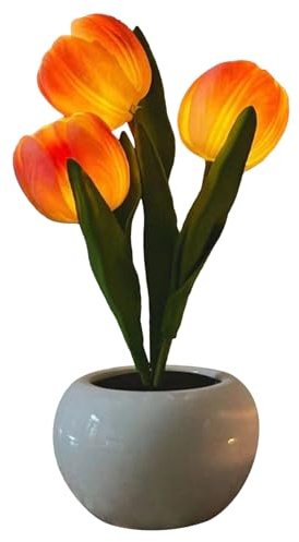 Genérico Lámpara De Mesa Flor,Iluminación LED Elegante Recargable | Decoración De Lámpara Nocturna Floral,Para Apartamento Fiesta Citas Sala De Estar Dormitorio Restaurante Casa Fiestas