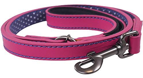Rosewood Joules Pink Leather Dog Lead