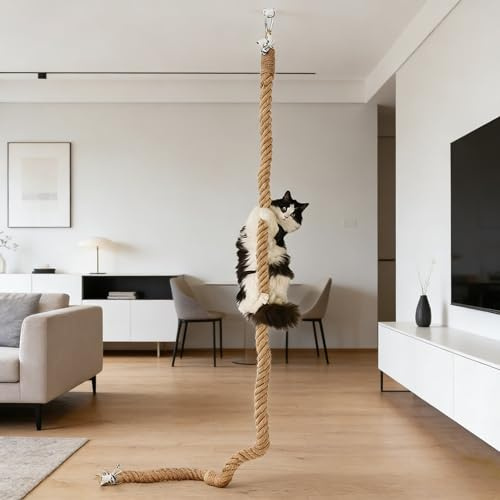 Premium klätterrep för katter av jute | 2,05 m längd och 4 cm diameter | takmontering med krok för vägg | naturrep för klättring, lek | Inomhus och utomhus kattleksak för självupptagande