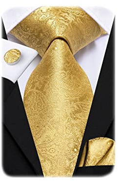 Hi-Tie Mens Plaids Checks Gold Ties Set Paisley Silk Necktie for Men with Handkerchief Cufflinks Set Business Wedding