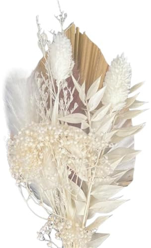 BelligernRecipe Book Stand, Cookbook Holder, Wooden Cookbook Holder, Suitable for Office, Home, Travel, School and