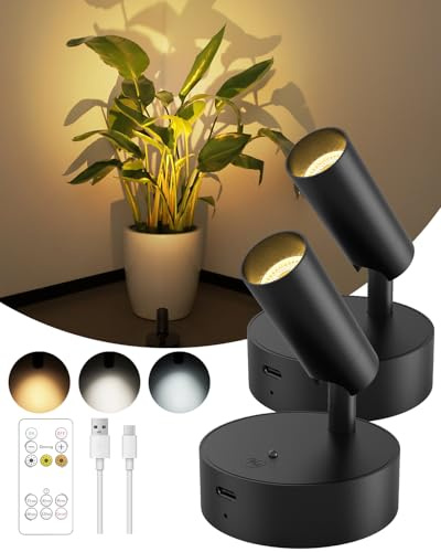GOODEA Faretto a Batteria Interna 3000mAh,Lampada da Parete Senza Fili Ricaricabile,3 Colori Regolabili, Telecomando con Timer, Nero | Illuminazione per Quadri e Piante