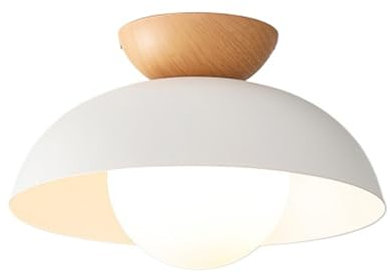 CLAYHU Lampada da soffitto ad aspirazione con paralume in ferro semplice giapponese, plafoniera da incasso per soggiorno camera da letto, corridoio che entra nel portico, balcone, guardaroba