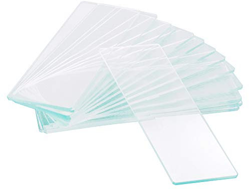 Levenhuk G50 1H Leere Objektträger mit 1 Hohlschliff, Hochtransparent mit Polierten Kanten für die Vorbereitung von Laborproben von Mikroorganismen